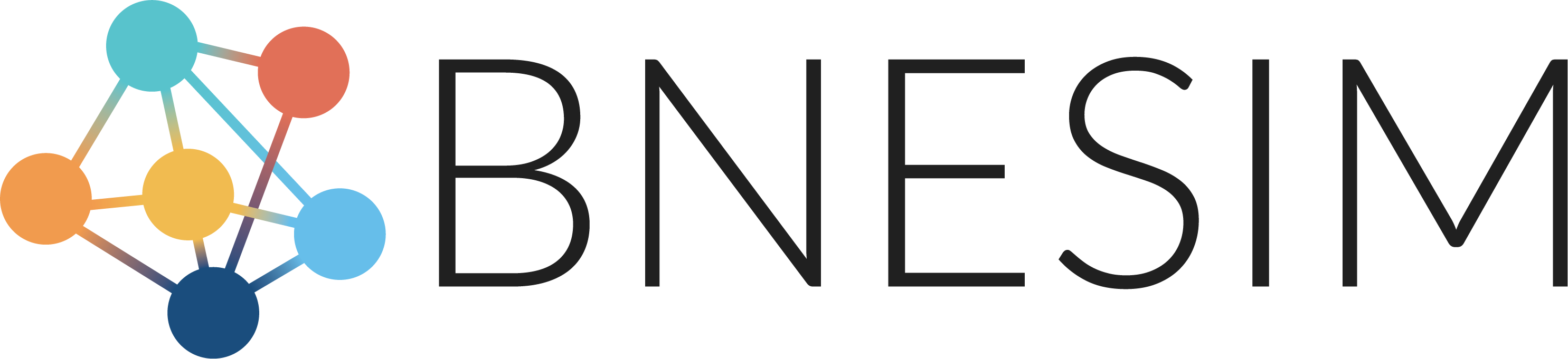 BNESIM Logo