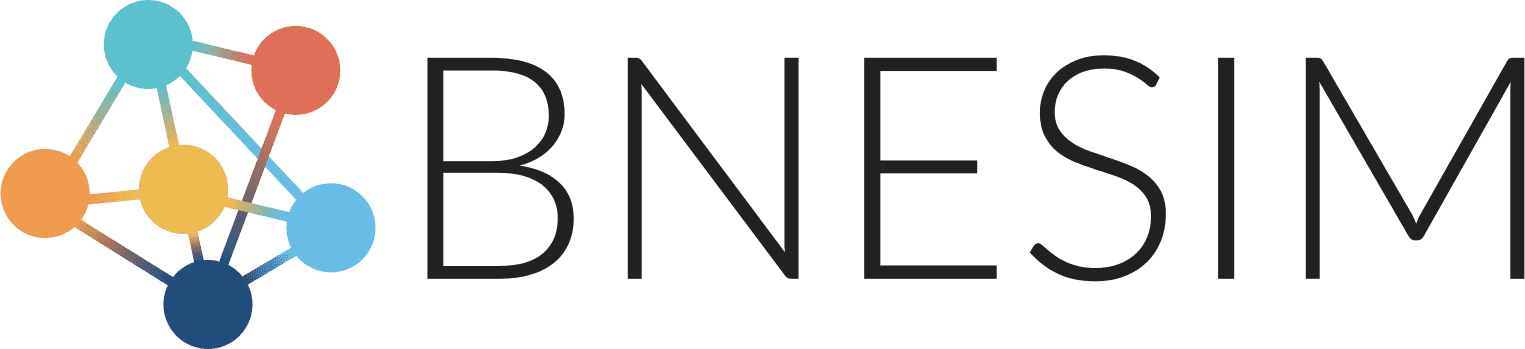 Login | BNESIM