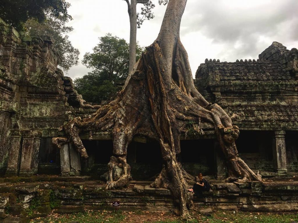 Angkor Wat, Camboya. Templo de Preah Khan. Puede ser más impresionante?? @condefj #dreamsandgoals #bestplacesonplanetearth&hellip;