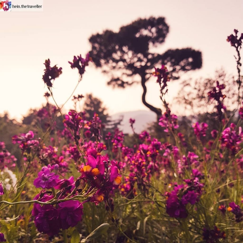 #Repost from @ with @ … Nothing can be the beauty of nature. :::&hellip;