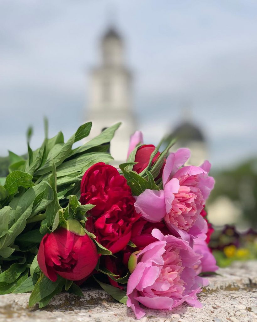 Peonies #peonies #inlove #chisinau #background #cathedral #towncenter #summer #love #nofilter #photoart #photography #photooftheday #photoshoot&hellip;
