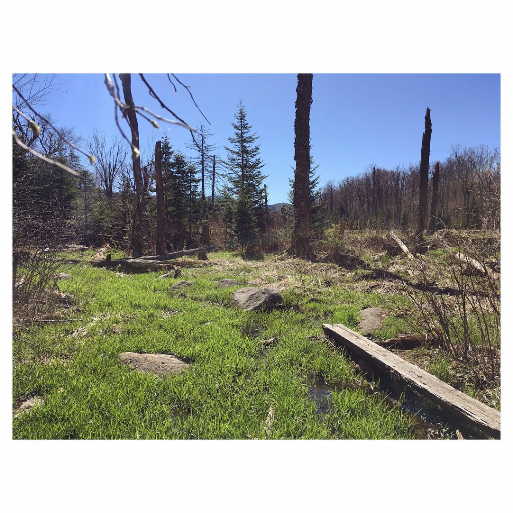 A little more from yesterday’s morning hike #mtvanhoevenberg