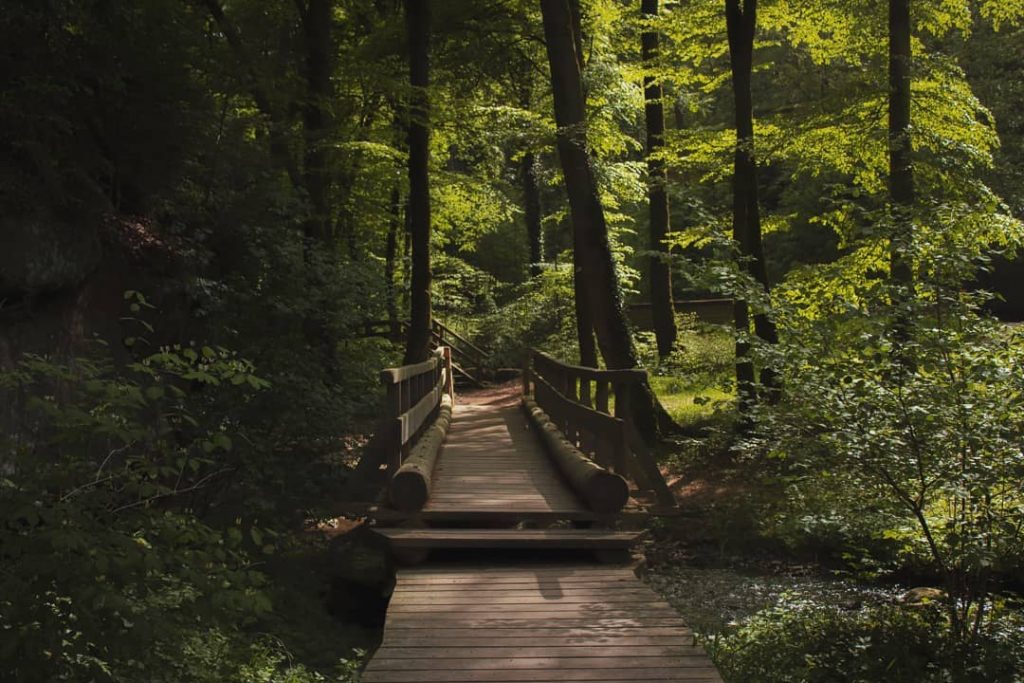 Fairytale Forest #travelblogger #travelholic #travel #travelphotography #photography #nofilter #canon #instagood #instagram #fairytail #forest #hiking&hellip;