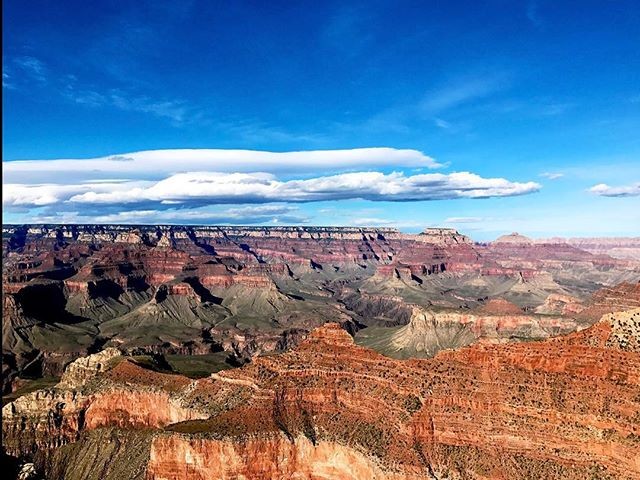 We visited the Grand Canyon in the spring last year! It was the first…