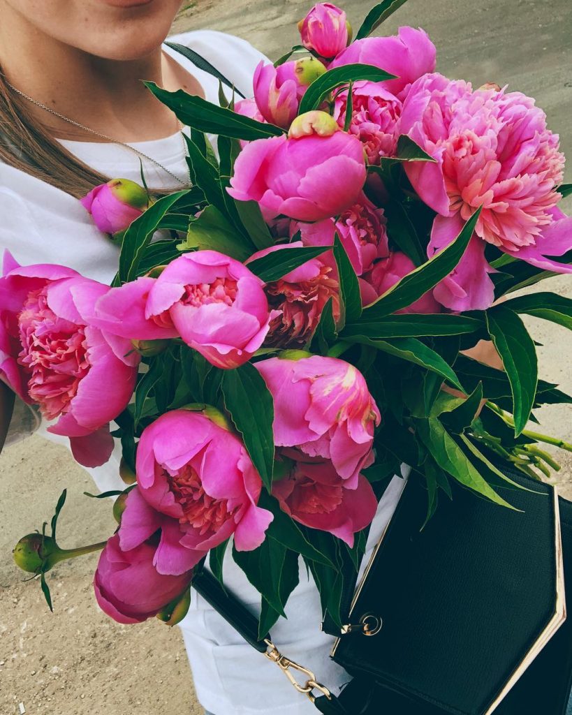 Loveeeeeeee #peonies #love #peoniesaremyfavorite #pinkpeonies #flowers #flowerlove #flowerstagram #flower_perfection #inlove #instamode #instagood #instagramdemoldovean #chisinau…