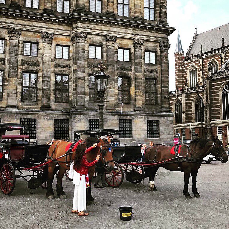 Amsterdam #picoftheday #instadaily #photo #funny #instalove #good #instaphoto #instagirl #like4like #followme @yumsterdam @natgeobing #iamtb…
