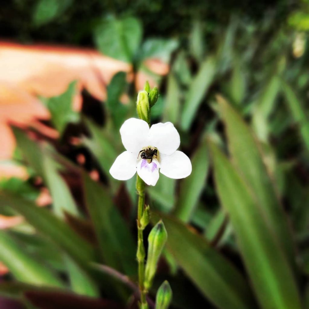 Have a beezy day ahead! . . . . . . . . #allinadayswork&hellip;