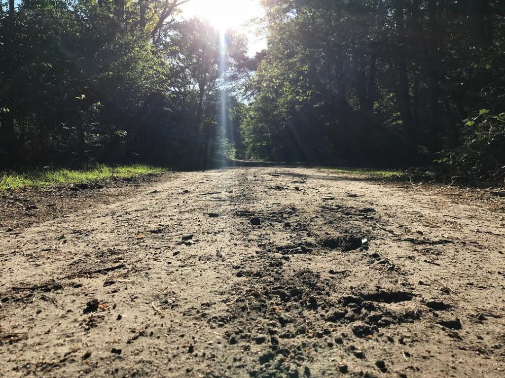 Walking on sunshine ️