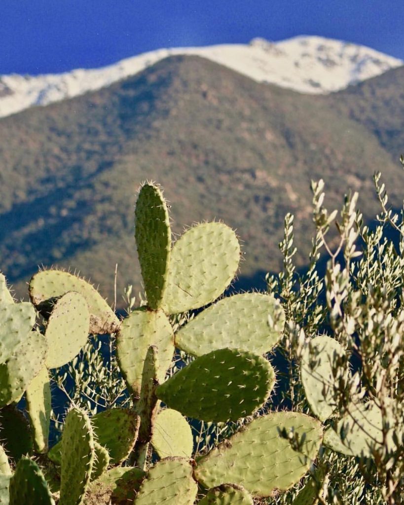 Landscape view from the Atlas Mountains #marrakech #morocco ???????? #Redcity #Art #handcraft #magic #marrakech…
