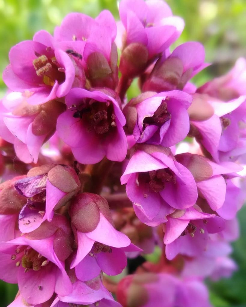 #봄 #봄봄봄 #봄봄 #꽃 #자연 #색상 #도 #may #flowers #travel #nature #colorflowers #color #nikon&hellip;