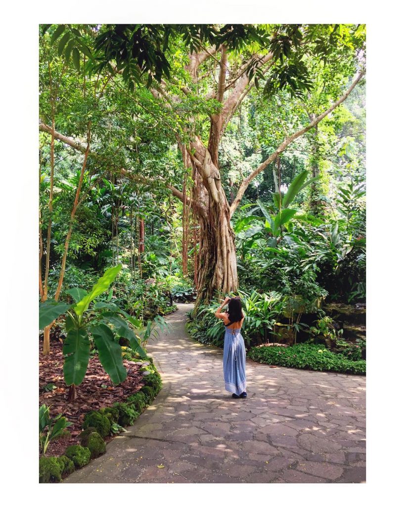 Apparently, last Wednesday I was in a tropical wonderland taking photos. #stillrecovering. I have…