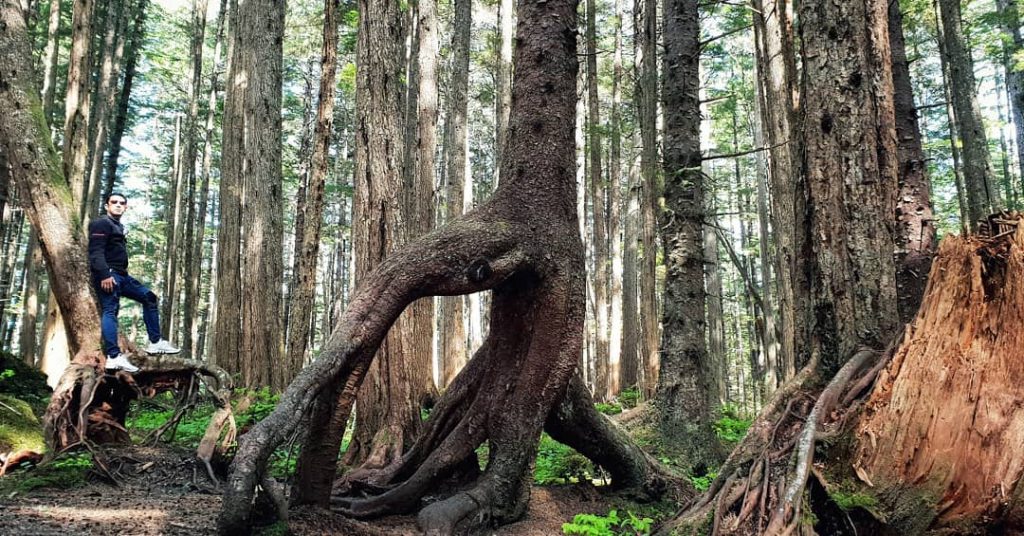 Understanding the nature, and it will refresh your soul . . . . .&hellip;