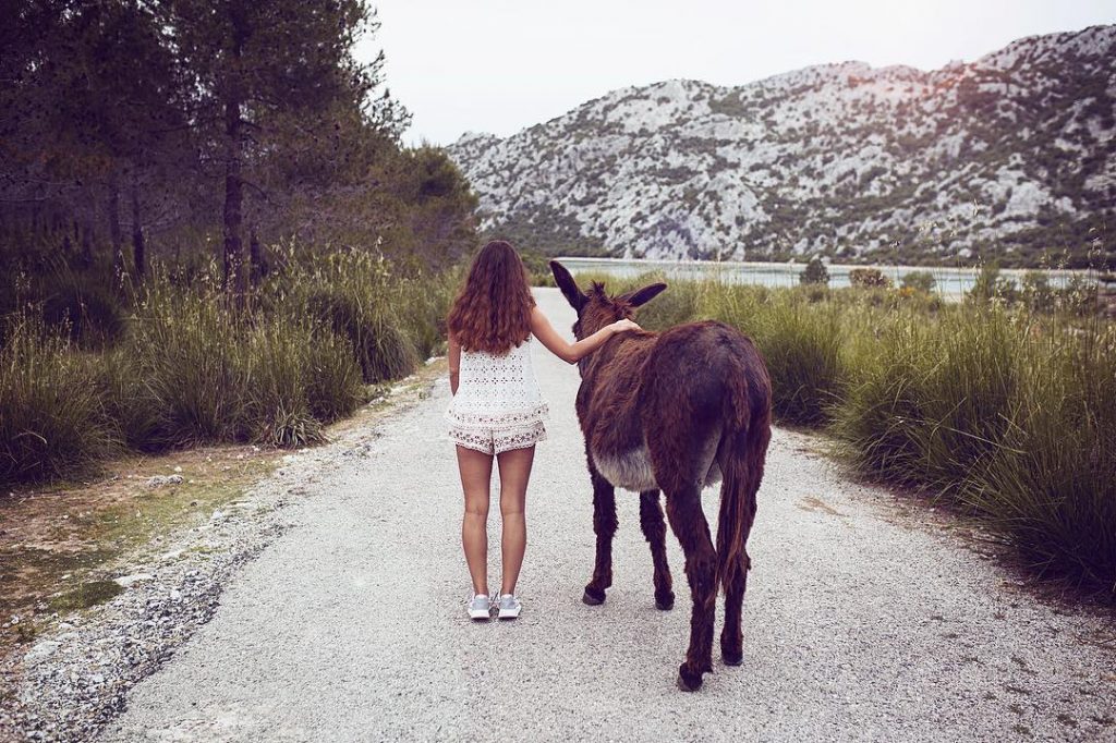 Me & the donkey – a hopeless love @marydo_by_maren // retouch: @kathringroblewski . Outfit…