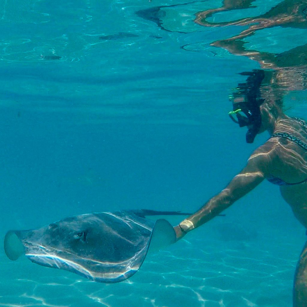 Hey Dude. How are you today #nadditraveltheworld #symanado #vonnullauflangfahrt #vondermoselindiesüdsee #sailing #sailingaroundtheworld #sailinginthepacific #southpacific&hellip;