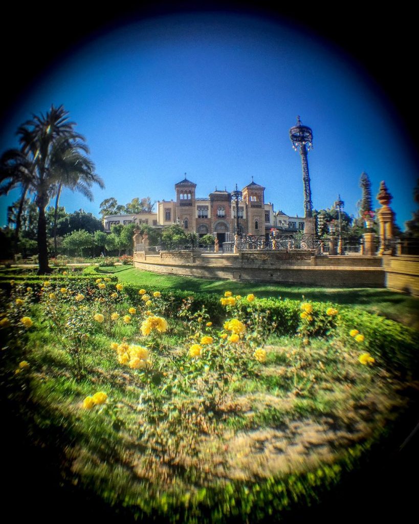 Vivir aquí, suerte la mía. Parque de María Luisa. • • 〰️〰️〰️〰️〰️¡FELIZ FINDE!〰️〰️〰️〰️〰️ •…