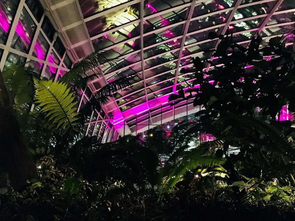 Sky Garden ???? • One of the best restaurant in London and, above all,…
