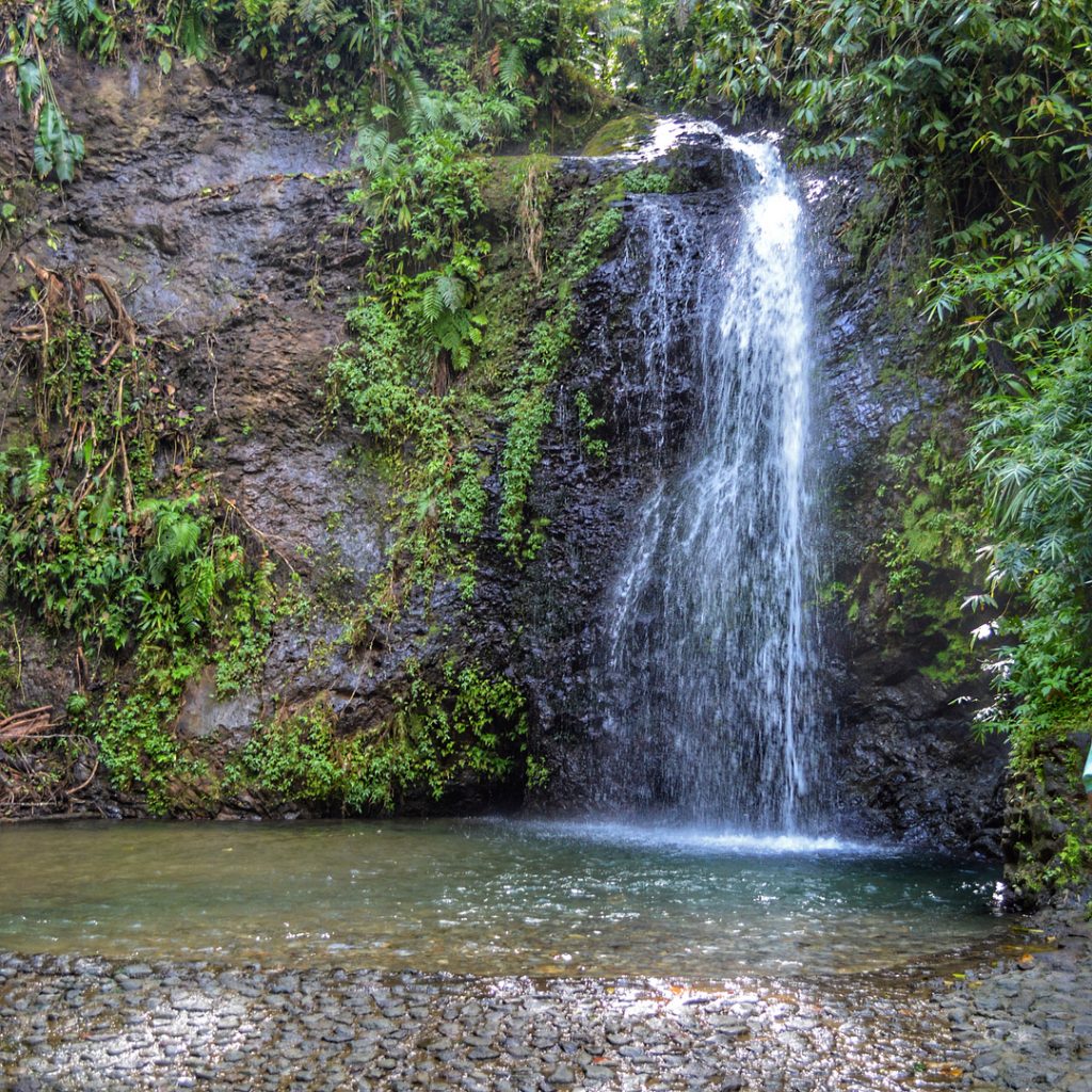 Boooo!!! Rained all day here in Indy. One final throwback to a sunnier day.&hellip;