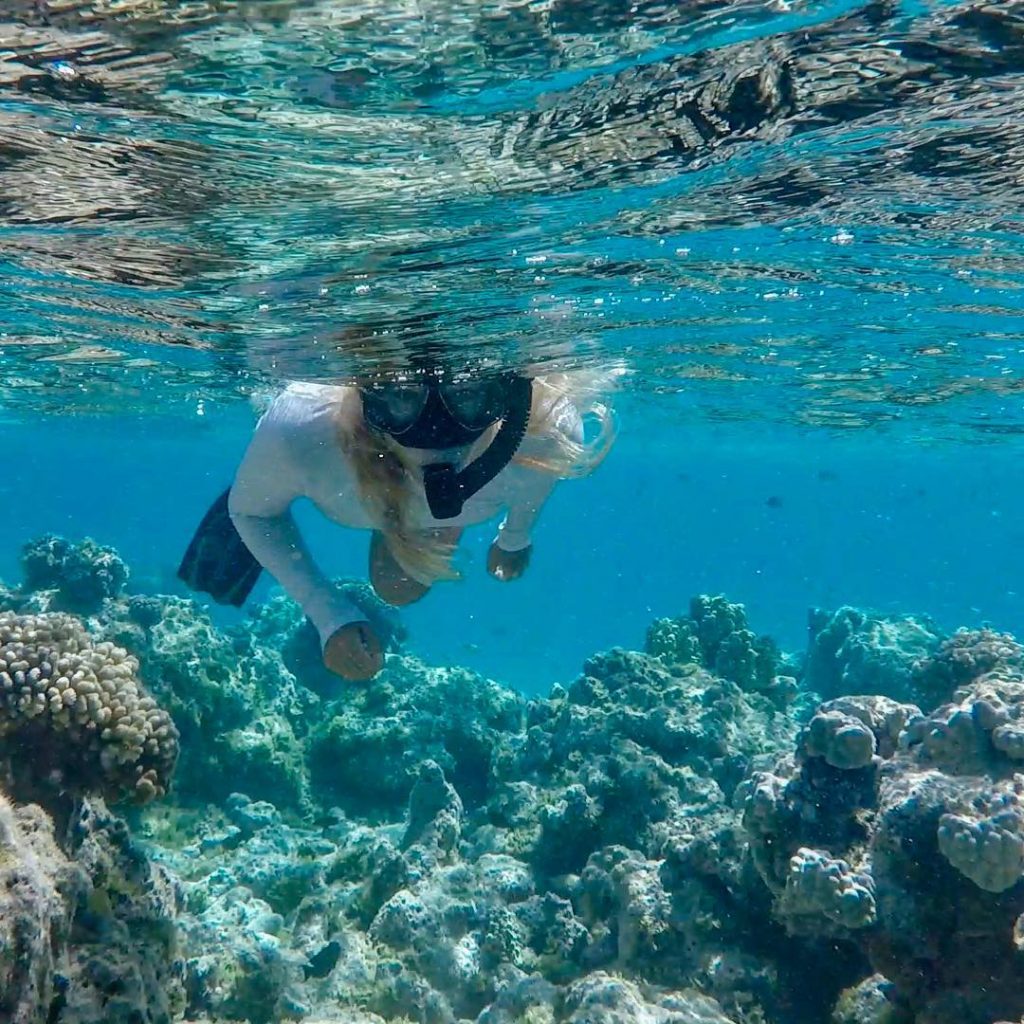 No matter where you are snorkeling or diving there is always something wonderful new…