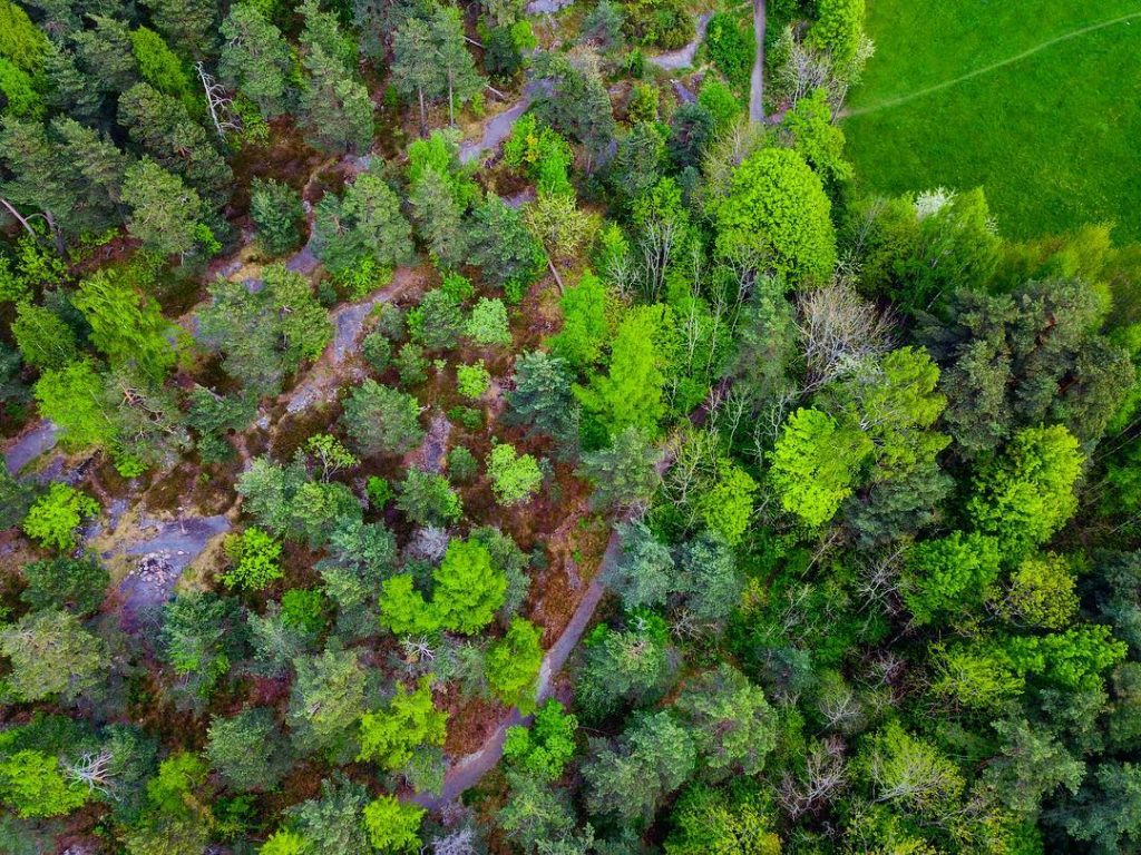From above . . . . . . . . . #skyphoto #droneshots #djimavicpro…