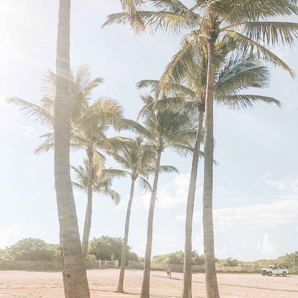 Fifth stop for the summer #bucketlist : Miami, FL. Drive from Orlando is 3&hellip;