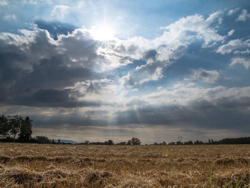 early morning in the fields Campolonghetto #naturalhairdaily #agricoltura #agriculture #landscape_hunter #landscape_lovers #landscapecaptures  #landscapestyles_gf #sunset&hellip;