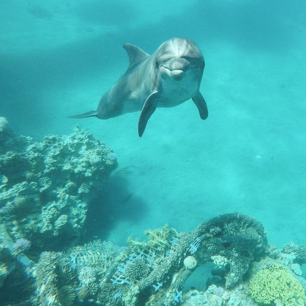 #adventure #vacation #vacay #wanderlust #wanderlusting #wanderlusters #adventure #travel #TravelRepost #iamtb #shetravels #travelphotography #bnesimppl #caminodesantiagopics&hellip;