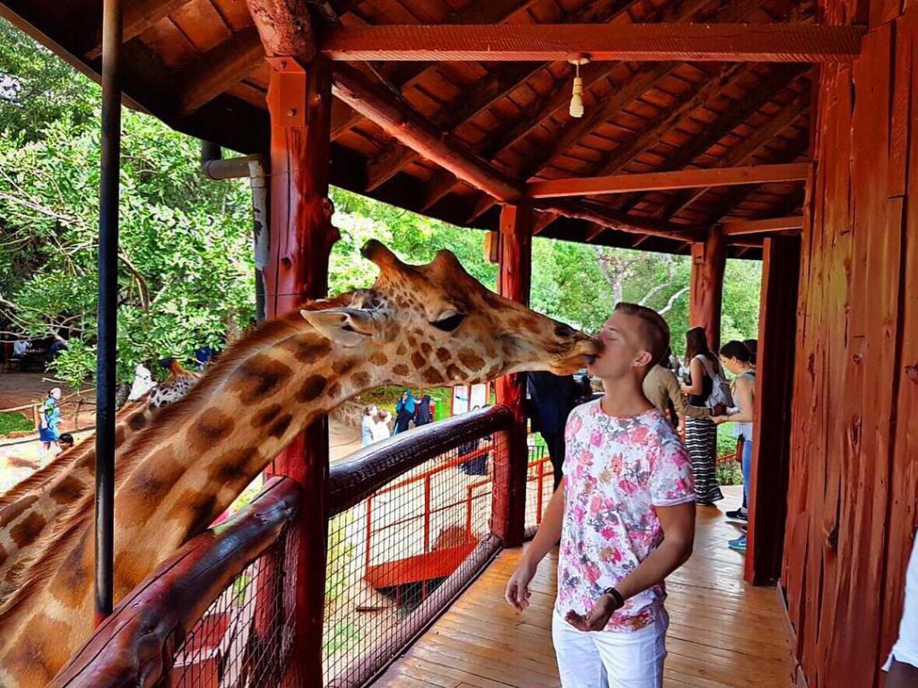 What do you know about this cute animals ? ???? Have you ever seen&hellip;