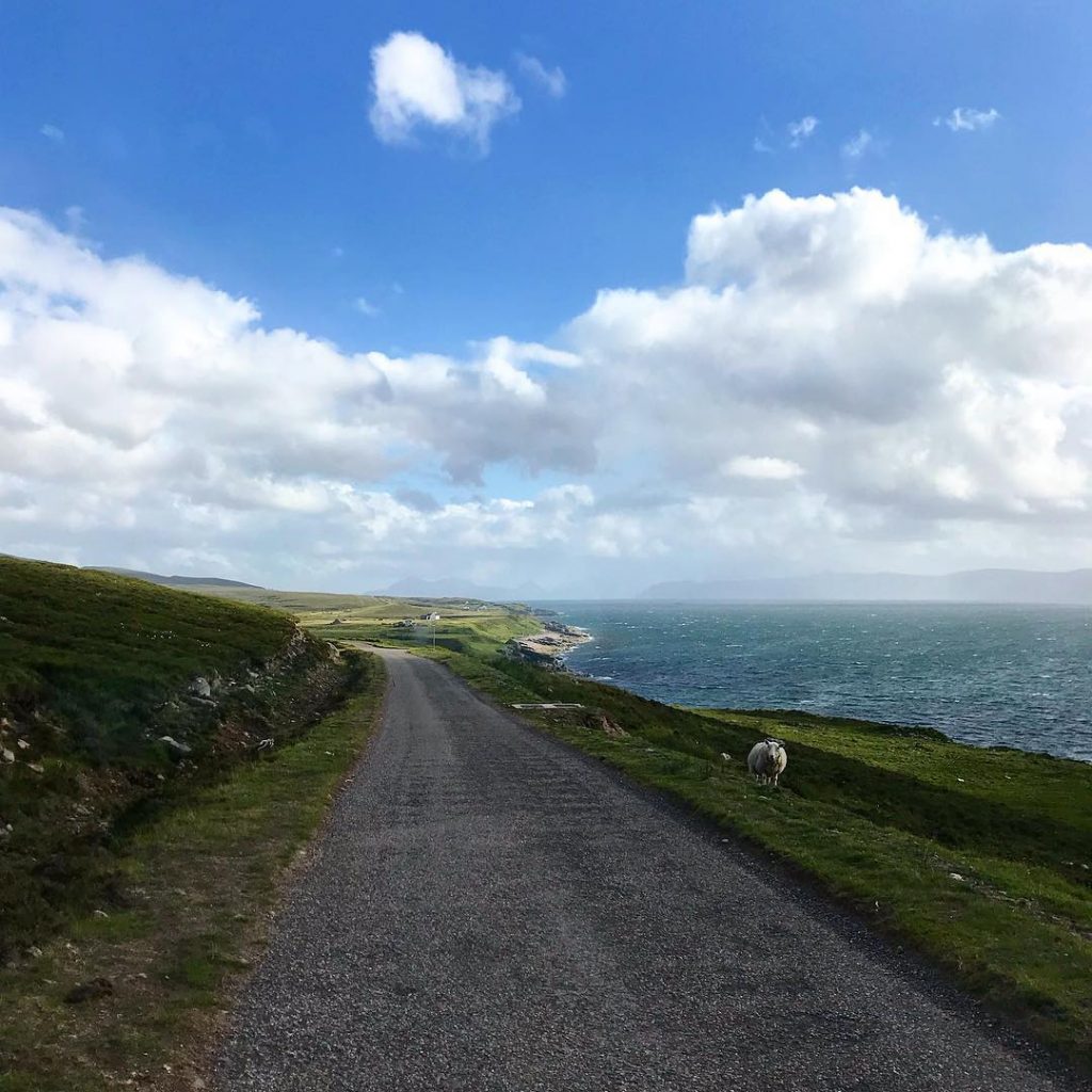 When there’s no one around but ewe #sheeppuns #ncvw500 ???????????????????????? ???????????????????????? ???????????????????????? #travellingtheworld #authenticliving&hellip;