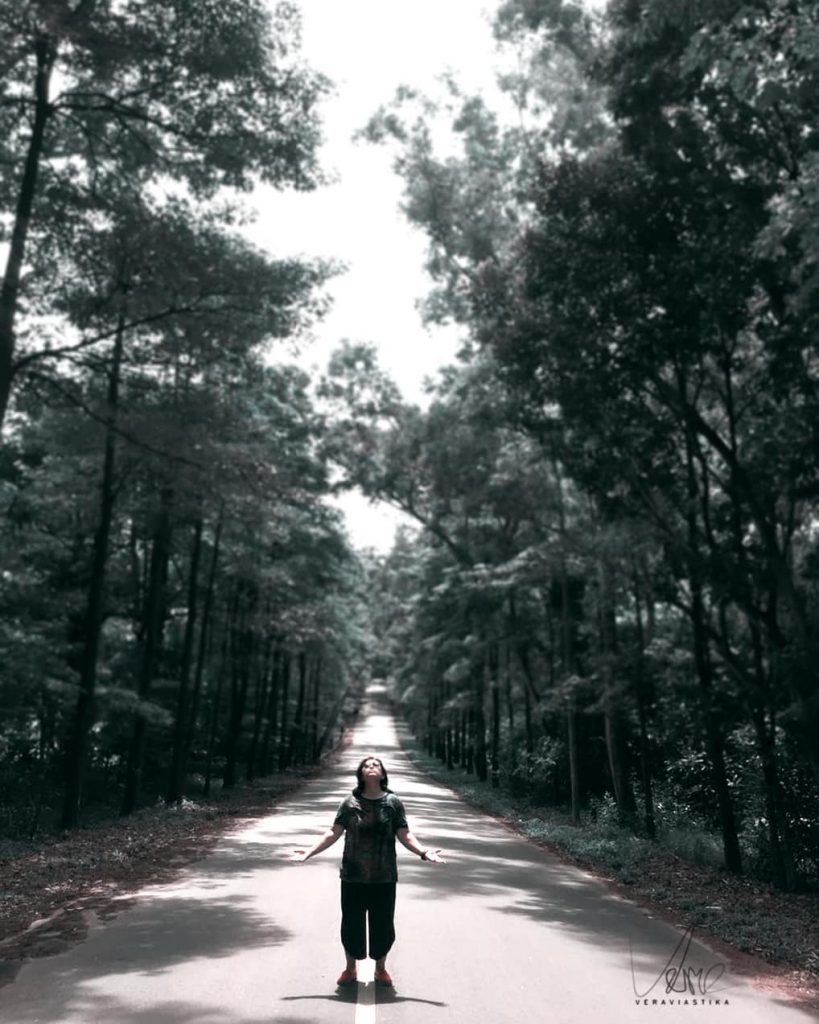 Nature ───────•••─────── #travel #traveller #traveling #photooftheday #travelinglady #letsgoeverywhere #backpacker #backpackers #travelgirl #traveladdict #girlswhotravel #darlingescapes&hellip;