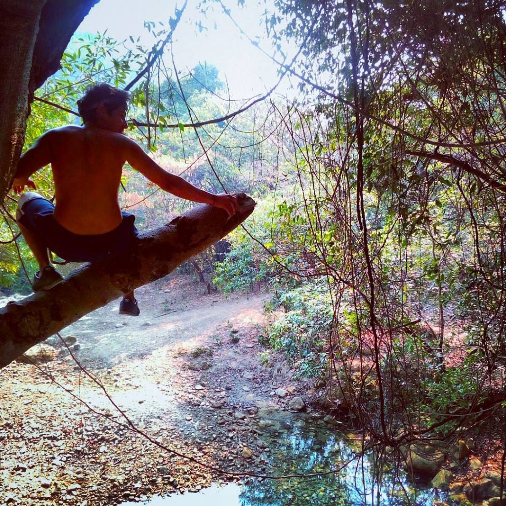¡Increíbles lugares! Hijo de Tarzan jaja #mexico???????? #trip #photography #travel #iamtb #bnesimppl #travelergram #viajeros…