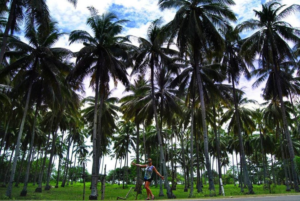 100000 palmeras! #philippines???????? #backpacker #mochileros #ambulantesmundi #instatravelling #travellingram #viajeros #instapassport #backpackerslife #mochilerostyle #travelblog #backpacking…
