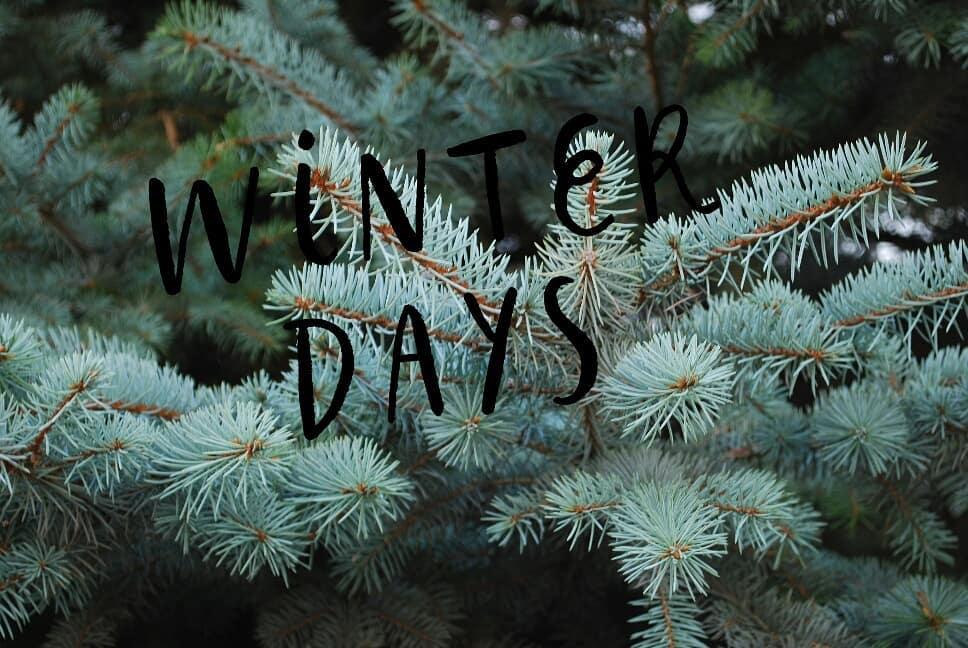 Winter Winter is magic You cant get too much winter in the winter *…