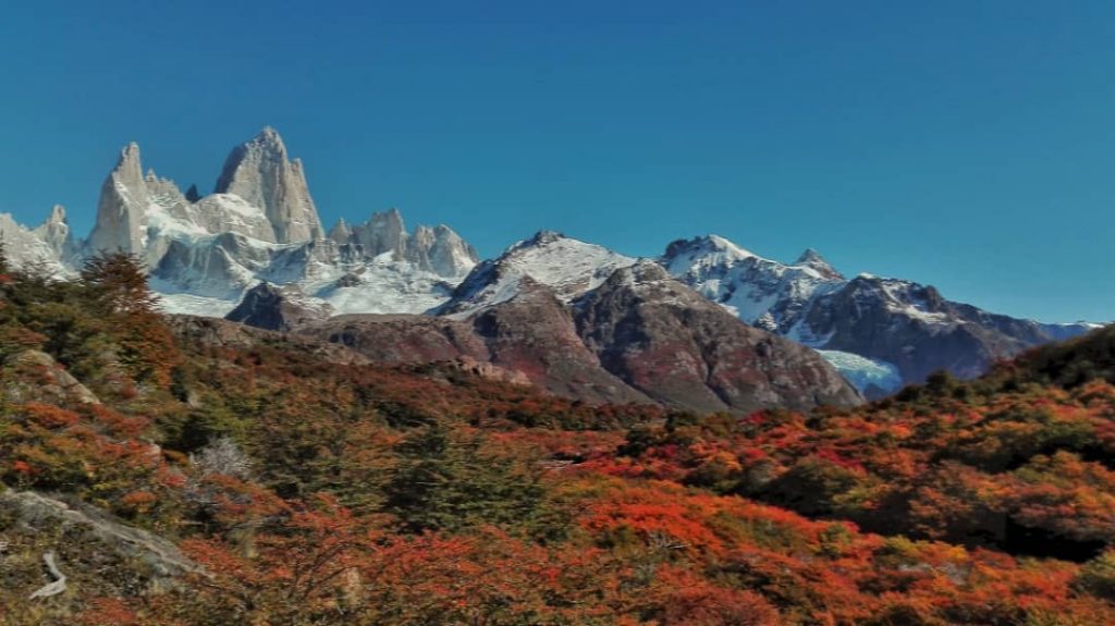 Colores de otoño en El Chaltén #autumn #otoño #autumncolours #traveling #trip #iamtb #backpackers #travelandlife…