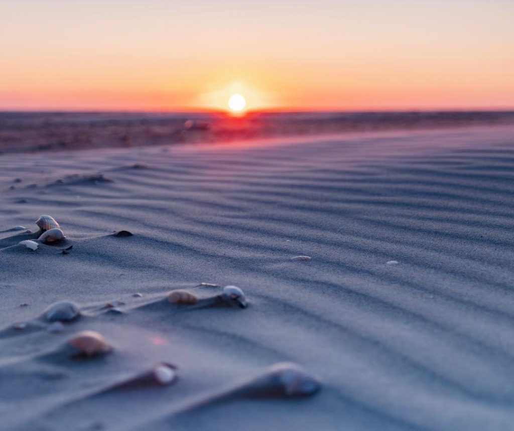 Collecting Sea shells, walking in the big sand dunes and enjoying the stunning sunsets.…