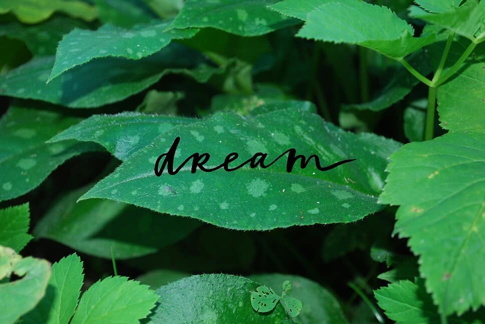 #dream #green #travel #colorgreen #nature ~ ~ ~ #cute #tbt #instalike #photooftheday #amazing #bestoftheday&hellip;