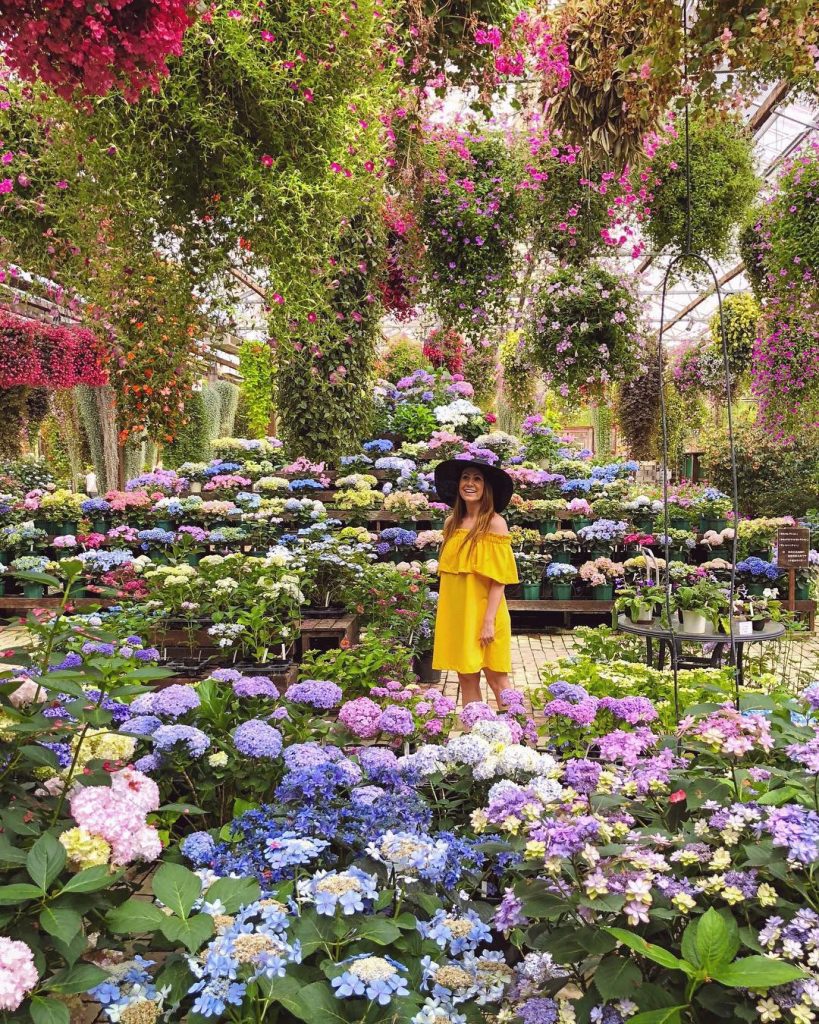 My early afternoon in Kamo Garden- Kakegawa city @21kamyk ＊＊＊ •English below • Kolejne&hellip;