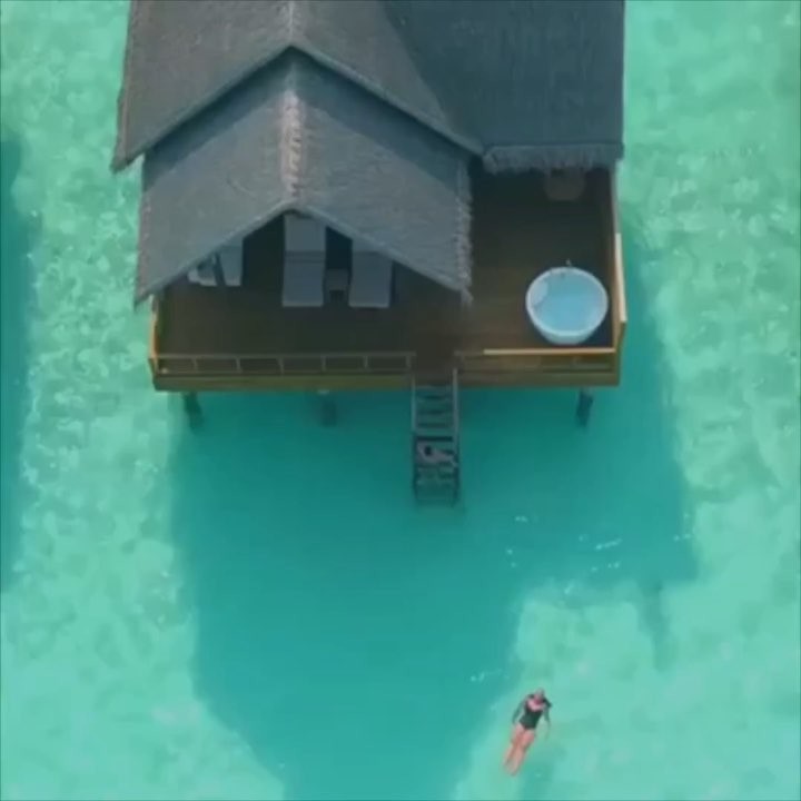 ⠀——【G】【I】【V】【E】—— ⠀ —————-【A】【W】【A】【Y】————- 5️⃣0️⃣0️⃣0️⃣ ???????????????????????????????????????????????????? ???????????? ???????????????????? . ⠀We want to raise awareness on&hellip;