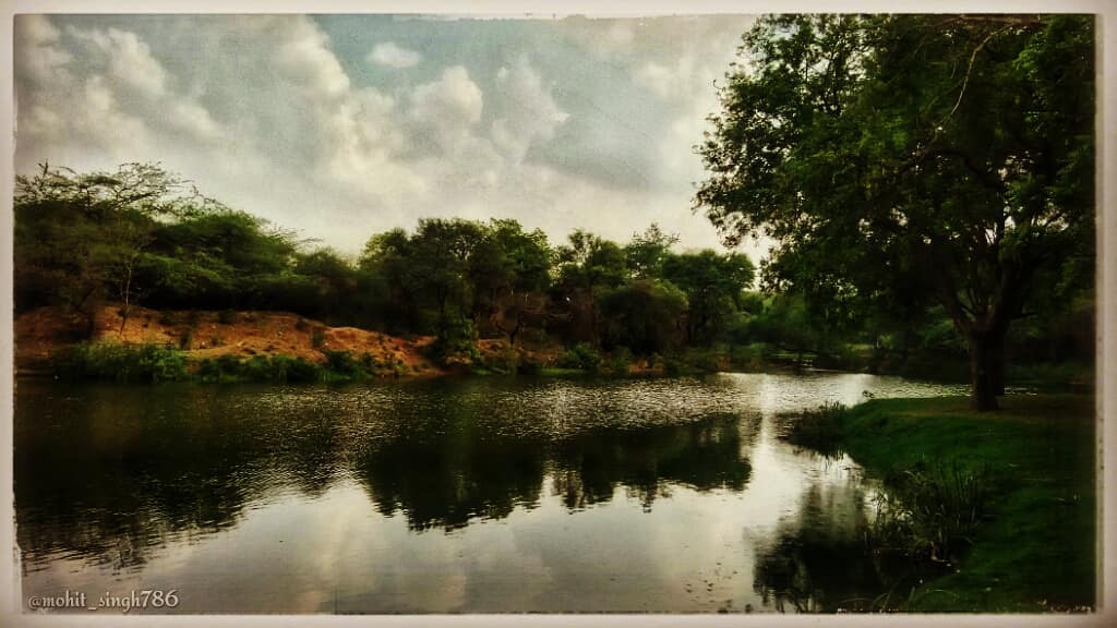 जंगल जंगल बात चली है पता चला है… लालालाला! #photooftheday #portrait #forest #lake #environment&hellip;