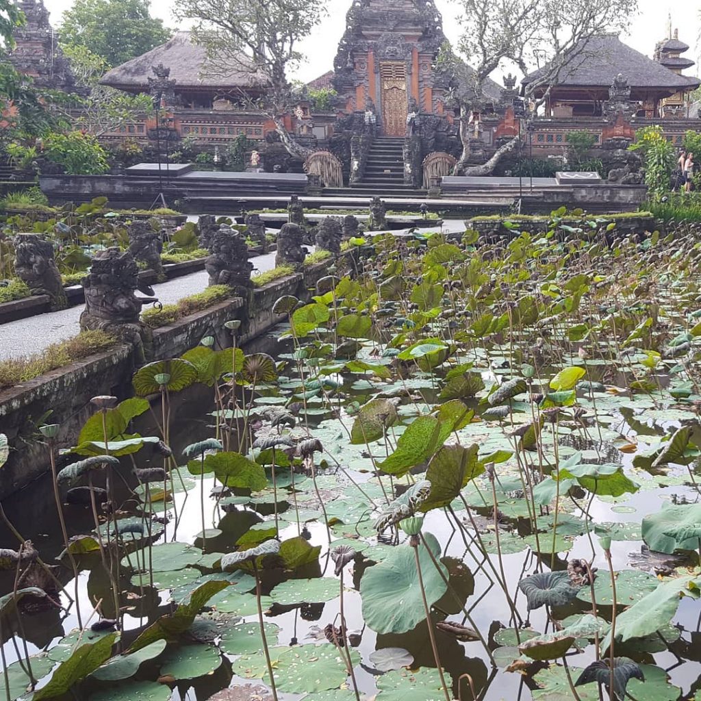 Pura Taman Saraswati, Ubud, Bali #mylasttrip #mylastravel #trip #travelblogger #travelife #traveling #travelphotography #travelblog #travelers…