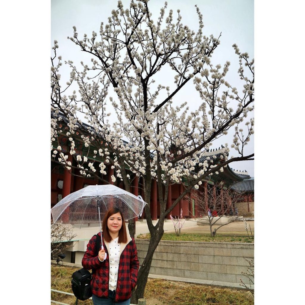 I remember the day. Flowers bloomed so sweet. Wind blew softly. White petals fell&hellip;