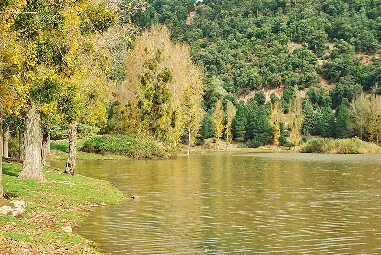In the northern part of central Morocco, the city of Khenifra enjoys a scenic…