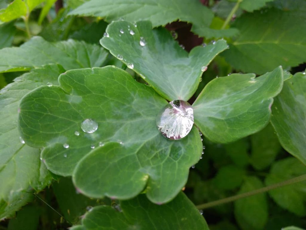 # #여름 #꽃 #여행 #페인트꽃 #자연 #nikon ~ ~ ~ #instamoment #instagood #nikonphotography #nikontravel&hellip;