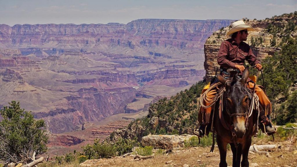 Tyler the cowboy . . . . . #arizona #grandcanyon #nature #hiking #travel #roadtrip&hellip;