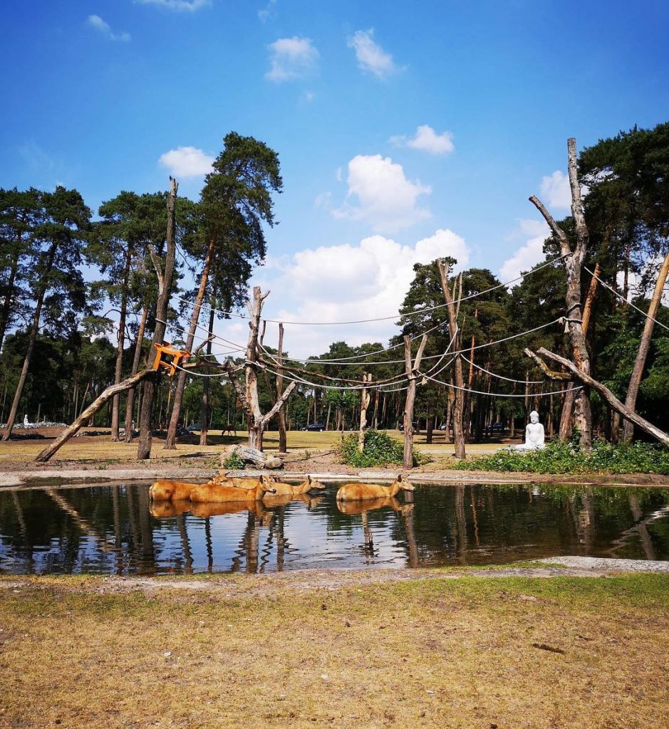 Serengeti Park, Niemcy???????? #serengetipark #serengetiparkhodenhagen #hodenhagen #germany #2018 #thebestplaceintheworld #holidays #trip #triplovers #travelers #lovetravel&hellip;