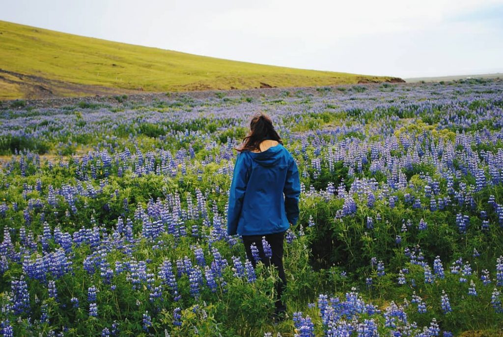 Iceland stole my heart . . . #catalanspelmon #iceland #ig_iceland #icelandscape #bestoficeland #whyiceland #nature&hellip;