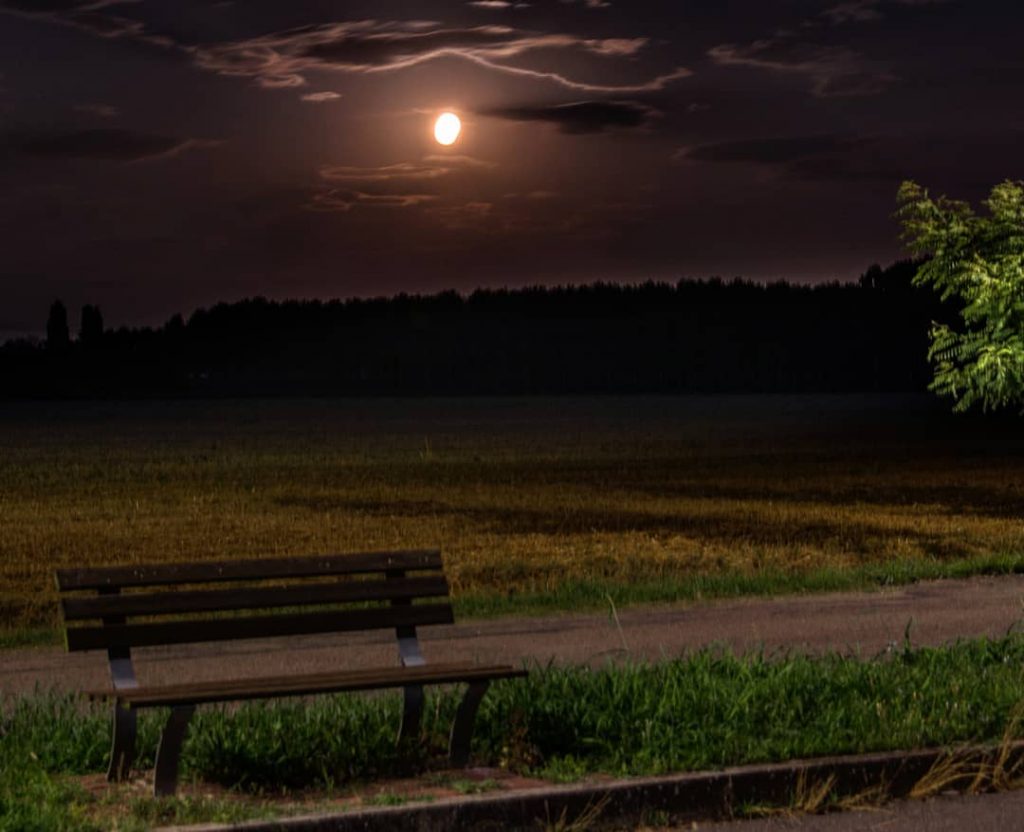 full moon in the country side #naturalhairdaily #agricoltura #agriculture #landscape_hunter #landscape_lovers #landscapecaptures  #landscapestyles_gf #sunset…