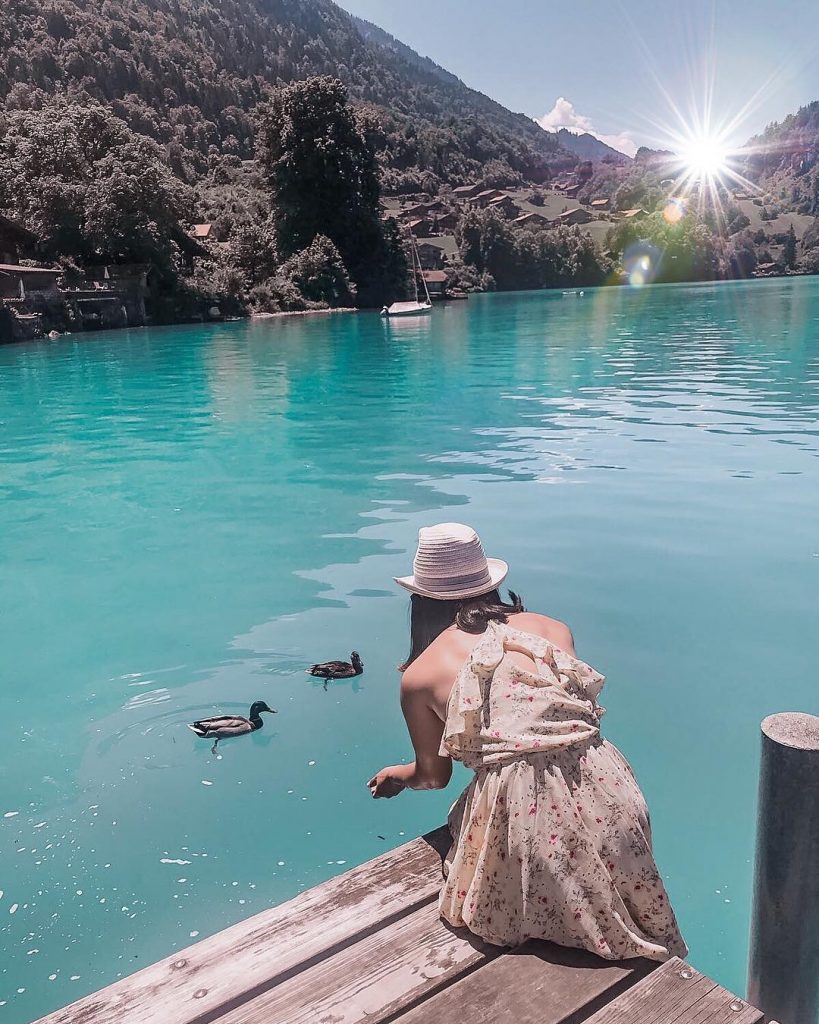 Note to self: If you don’t have any food, the ducks ???? won’t come…