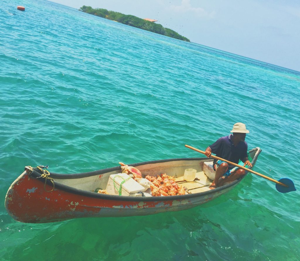 No #islasdelrosarioybaru #islas #islandlife #baru #islabaru #baruisland #cartagena #Colombia #travelphotography #travelholic #travelgirl #traveller #travelcomunity…