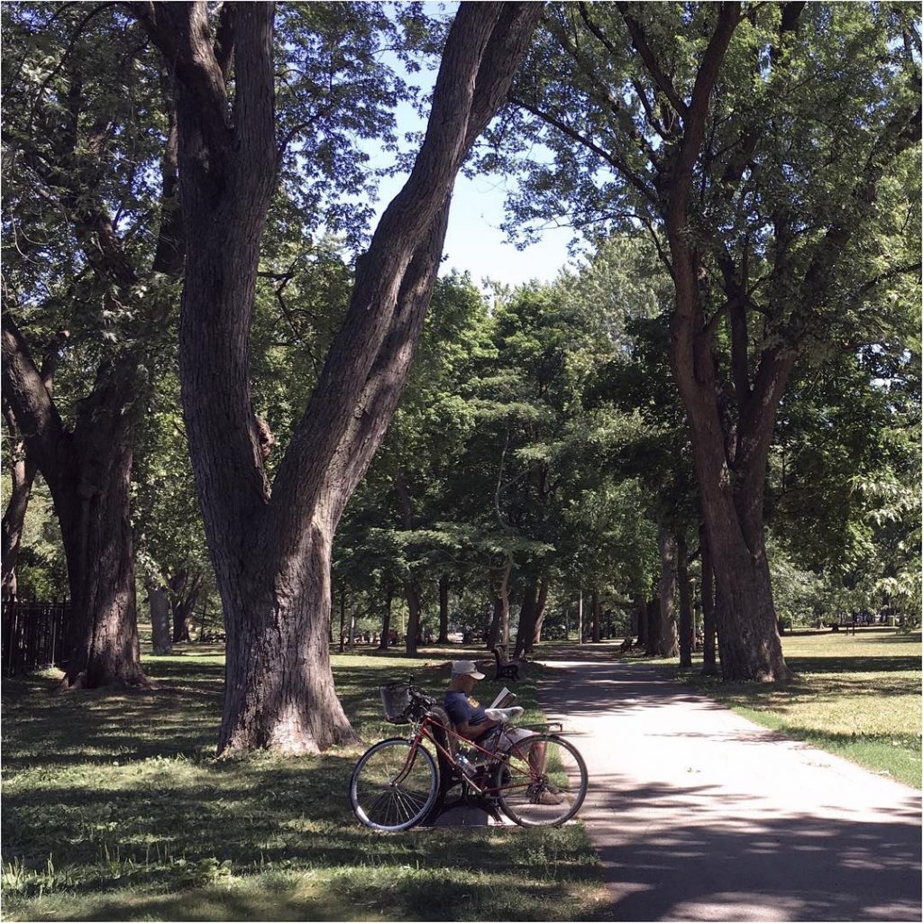 Montreal summer ️ books, biking, benches in parks, likely some brews too