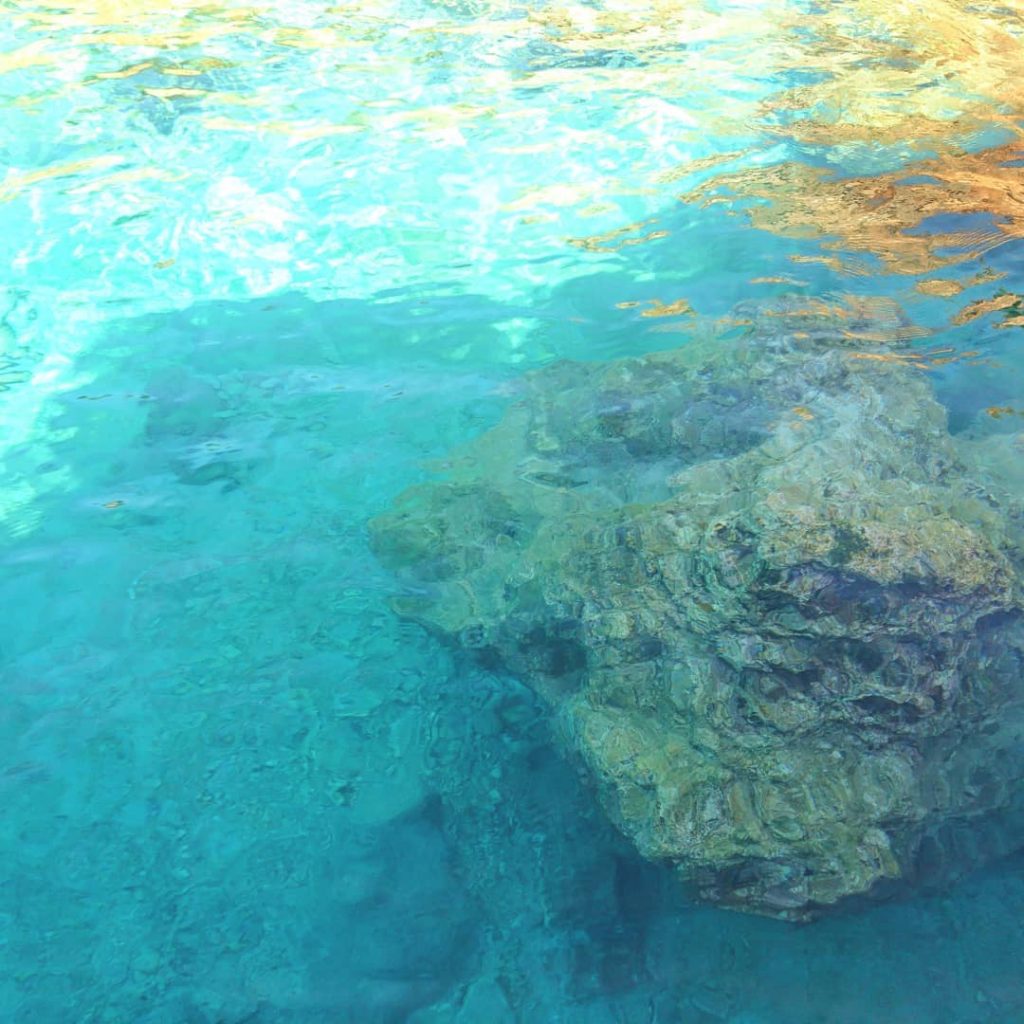↟ В детстве, я очень любила мультики о подводном мире, особенно русалочку от Disney.&hellip;